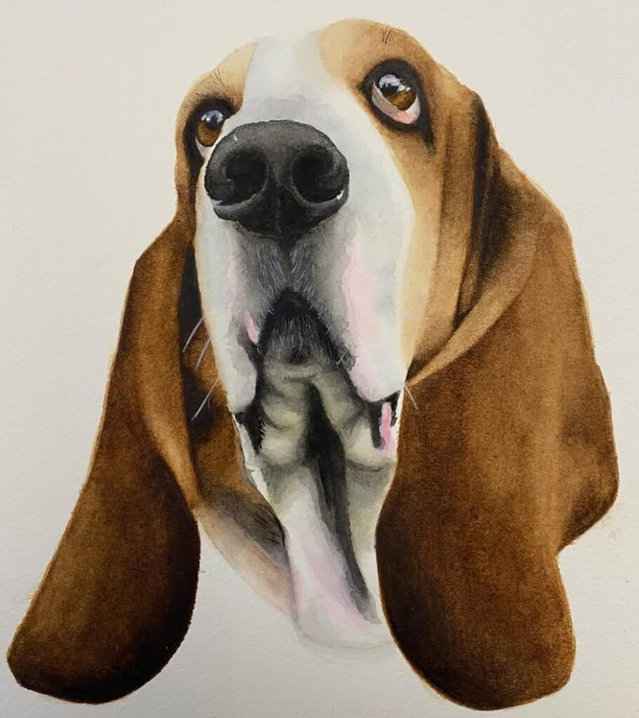 daisymae