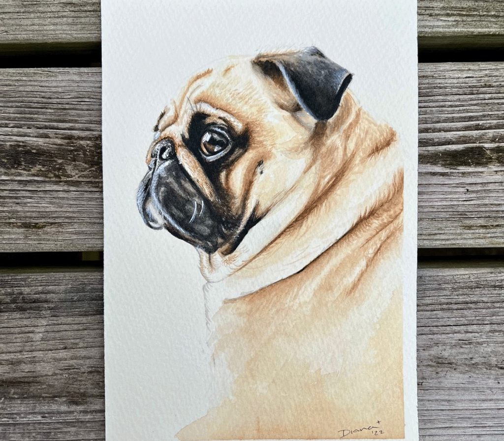 pug