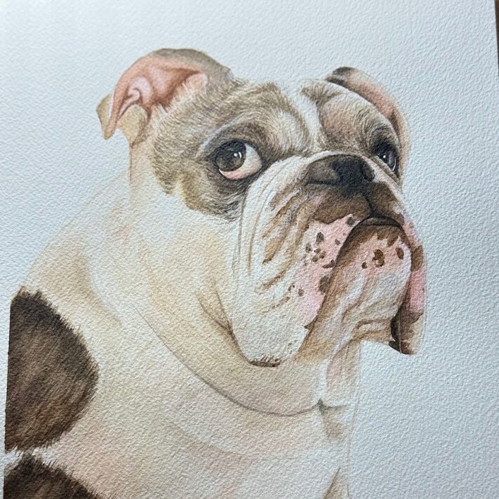 Hand-painted watercolour dog portrait from photo