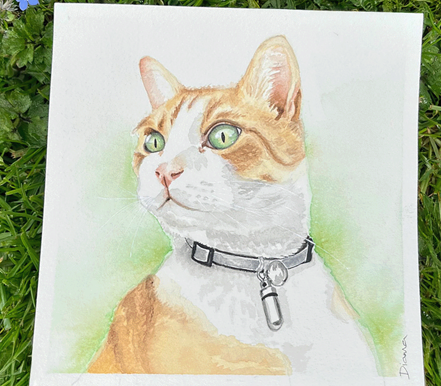 chester