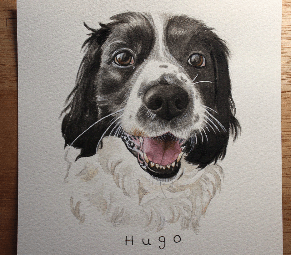 hugo