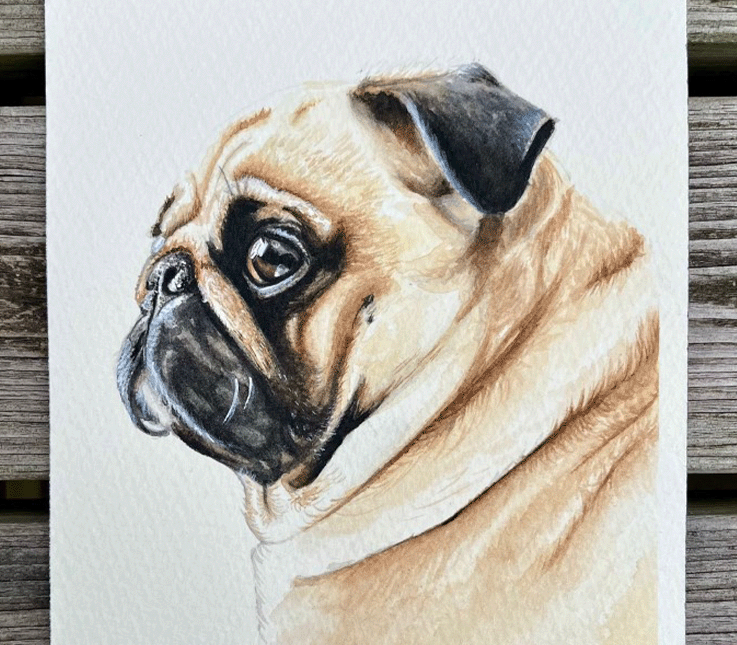 Hand-painted watercolour dog portrait from photo